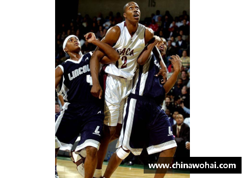 霍华德闪耀台湾篮坛：职业联赛巨星的辉煌篇章