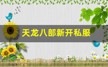 天龙八部私服发布网站：天龙八部新开私服(天龙八部发布网) (5)