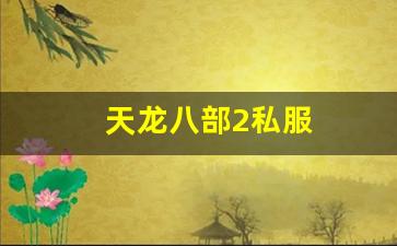 私服网站大全：天龙八部2私服 (5)