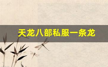天龙八部私服一条龙(天龙八部sf架设一条龙) (2)
