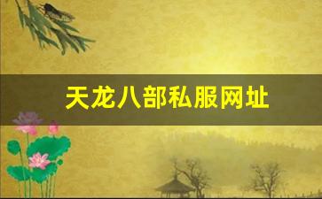 天龙八部私服网址 (16)