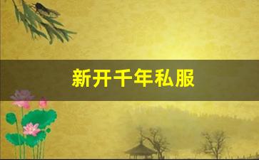 新开千年私服 (15)
