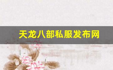 天龙八部私服发布网(天龙八部官网首页) (3)