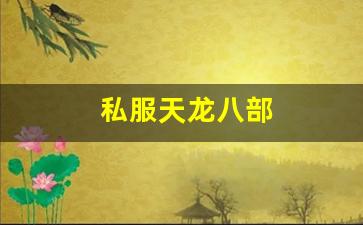 私服天龙八部 (6)