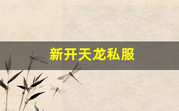 新开天龙私服 (13)
