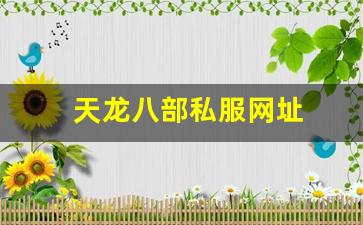 天龙八部私服基地：天龙八部私服网址 (8)