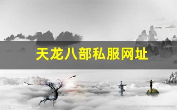 天龙八部发布网：天龙八部私服网址 (8)