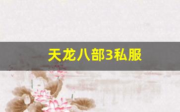 天龙八部3私服 (4)