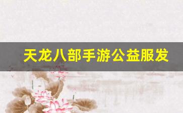 天龙八部长久服发布网：天龙八部手游公益服发布网(天龙八部手游私sf无限元宝) (2)