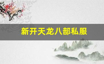 天龙公益服新开天龙网站：新开天龙八部私服 (12)